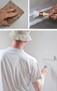 pintor los alcazares